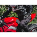 LUIMOTO TANK LEAF Tank Pads for the Ducati Panigale / Streetfighter V4 / S / R / Speciale